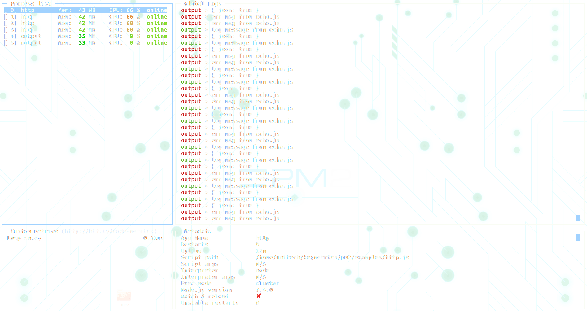 PM2 monit example